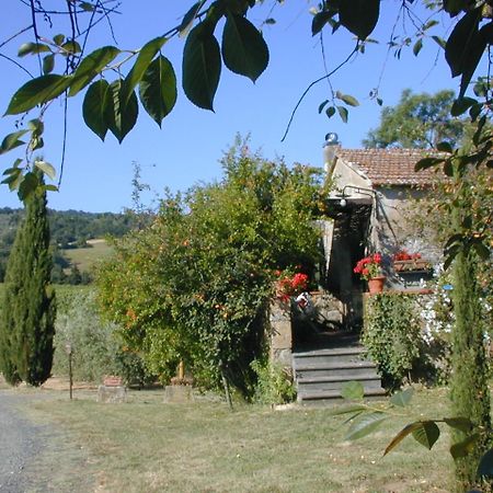 Piccolo Sole Montescudaio Exterior photo
