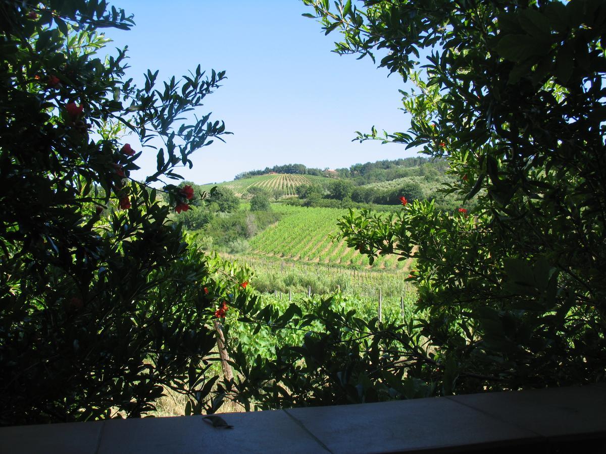 Piccolo Sole Montescudaio Exterior photo