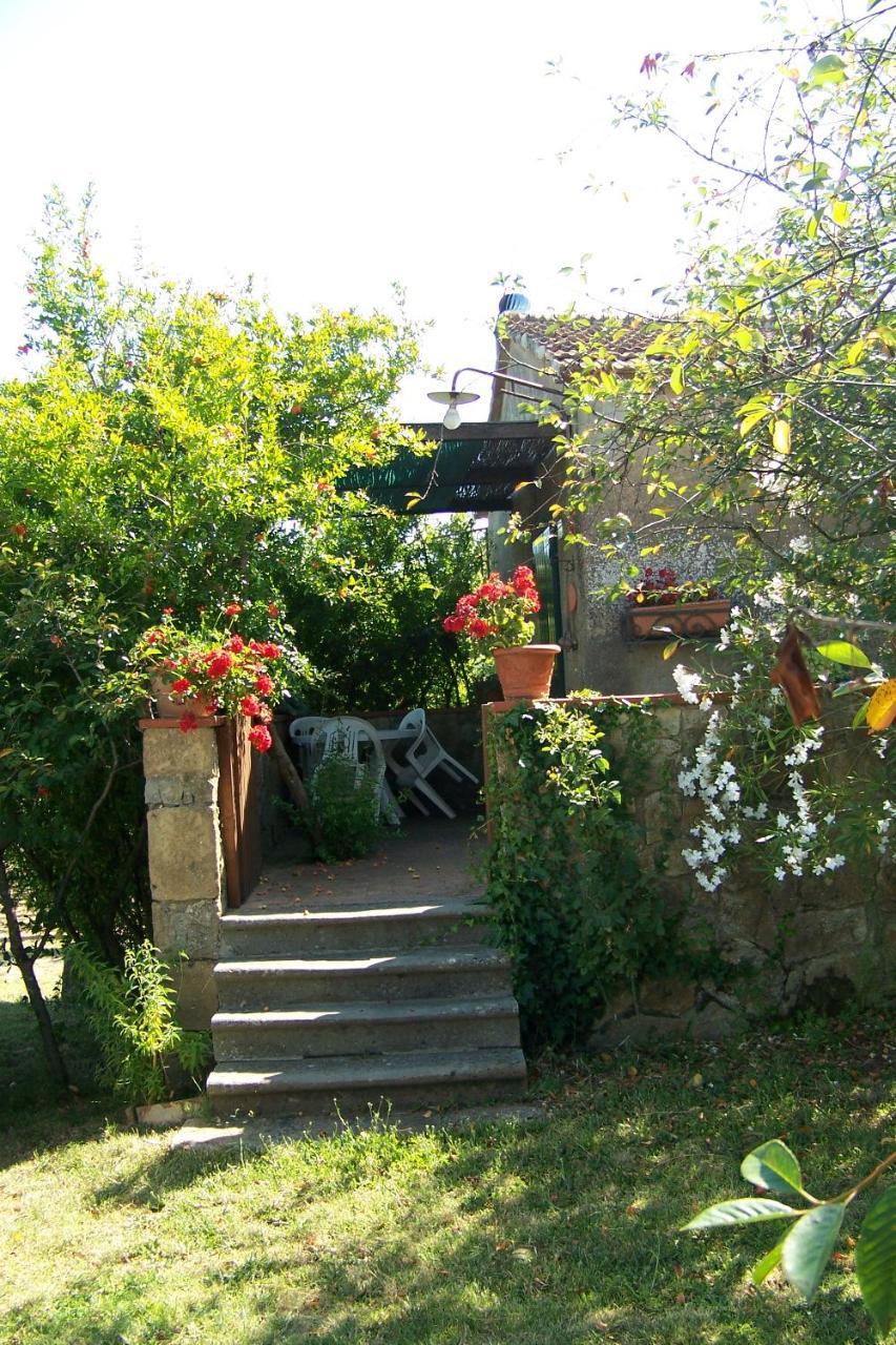Piccolo Sole Montescudaio Exterior photo
