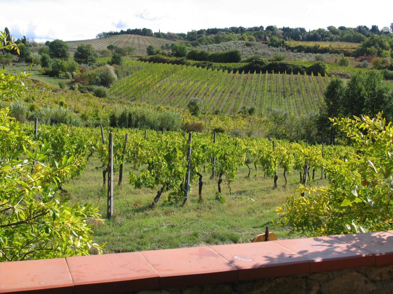 Piccolo Sole Montescudaio Exterior photo